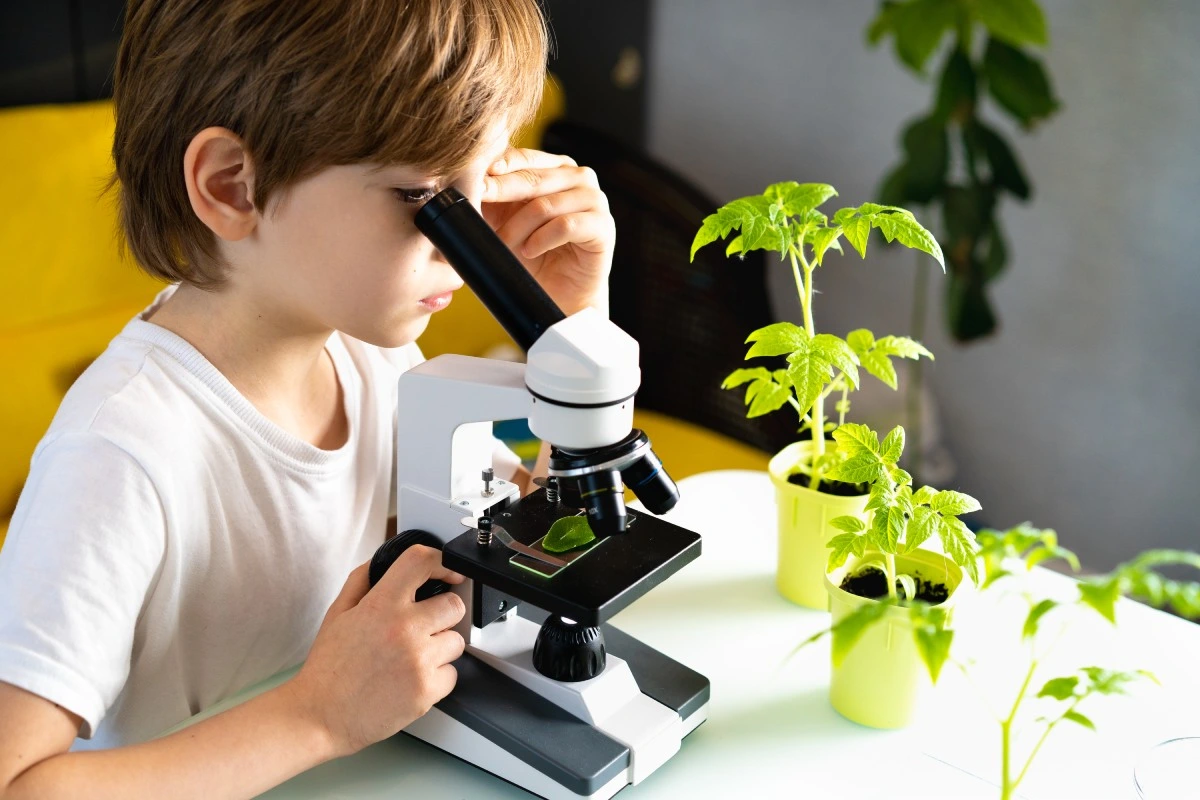 young boy looking on the microscope